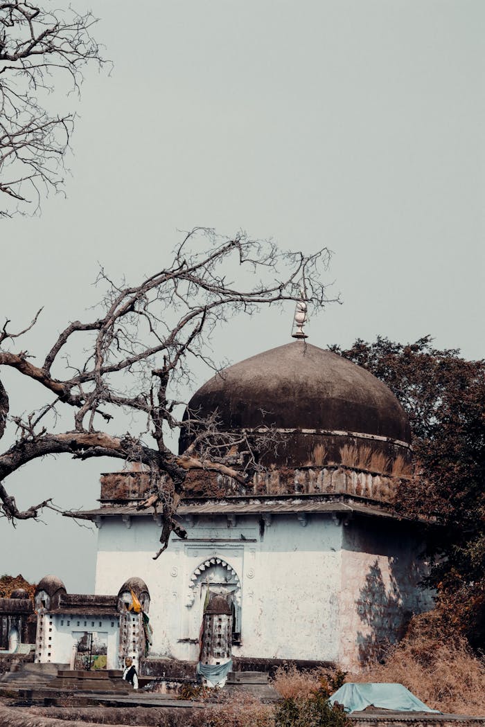 Antique dome structure amidst trees in Ranthambore Fort, Rajasthan.