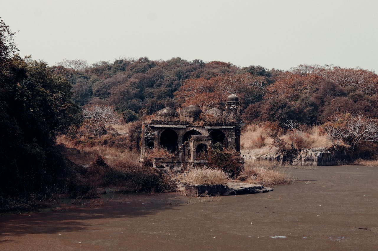 Abandoned stone temple in lush forest landscape at Ranthambore Park.